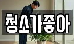 청소가좋아