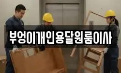 부엉이개인용달원룸이사