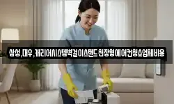 삼성,대우,캐리어시스템벽걸이스탠드천장형에어컨청소업체비용