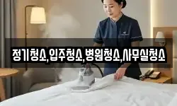 정기청소,입주청소,병원청소,사무실청소