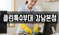클린특수부대 강남본점