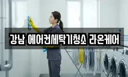 강남 에어컨세탁기청소 라온케어