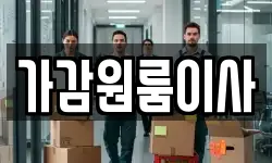 가감원룸이사