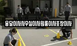 용달이사사무실이사원룸이사포장이사