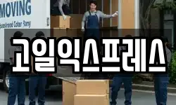 고일익스프레스