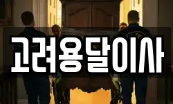 고려용달이사