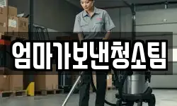 엄마가보낸청소팀