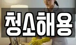 청소해용