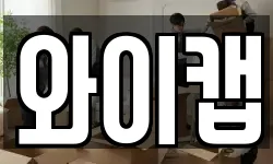 와이캡