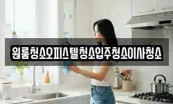 원룸청소오피스텔청소입주청소이사청소