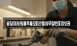 용달이사원룸투룸오피스텔사무실반포장보관