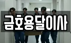 금호용달이사