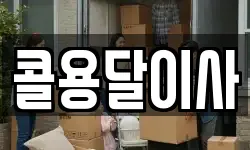 콜용달이사