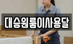 대승원룸이사용달