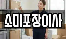 소미포장이사