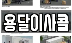 용달이사콜