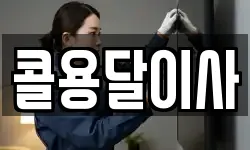 콜용달이사