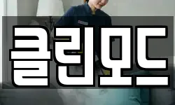 클린모드