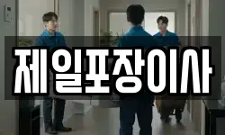 제일포장이사