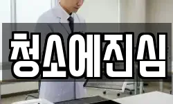 청소에진심