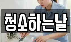 청소하는날