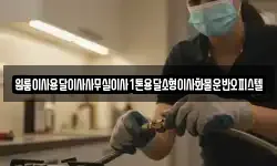 원룸이사용달이사사무실이사1톤용달소형이사화물운반오피스텔