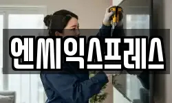 엔씨익스프레스
