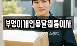 부엉이개인용달원룸이사