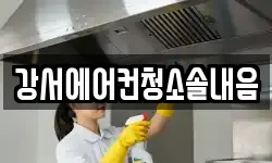 강서에어컨청소솔내음