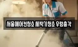 서울에어컨청소 세탁기청소 우렁총각