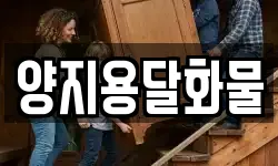 양지용달화물
