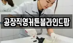 공장직영커튼블라인드팝