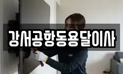강서공항동용달이사