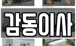감동이사