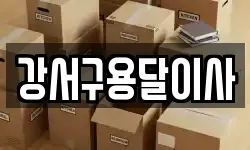 강서구용달이사