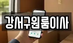 강서구원룸이사