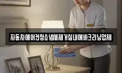 자동차에어컨청소냄새제거실내에바크리닝업체