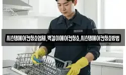 시스템에어컨청소업체,벽걸이에어컨청소,시스템에어컨청소방법
