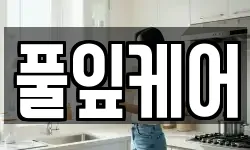 풀잎케어