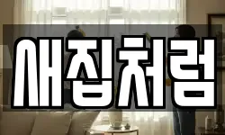 새집처럼