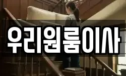 우리원룸이사