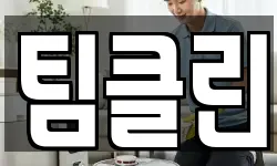 팀클린