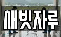 새빗자루