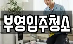 부영입주청소