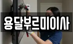 용달부르미이사
