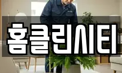 홈클린시티