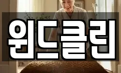 윈드클린