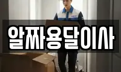 알짜용달이사