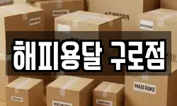 서울 구로구 구로동 이사,용달이사,포장이사,원룸이사,보관이사