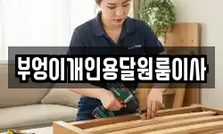 부엉이개인용달원룸이사
